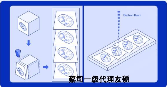 闵行蔡司闵行扫描电镜