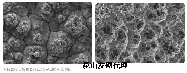 闵行蔡司闵行扫描电镜