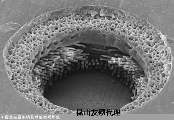 闵行蔡司闵行扫描电镜